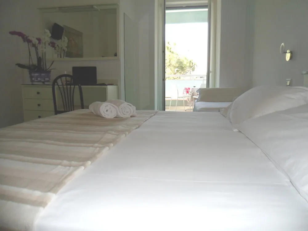 Hotel Zanarini In Centro A Riccione