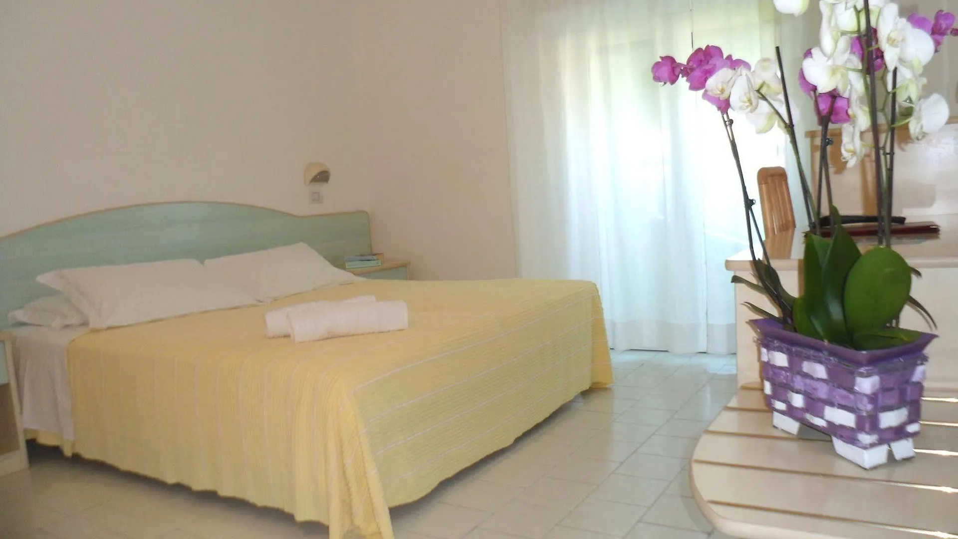 Hotel Zanarini In Centro A Riccione