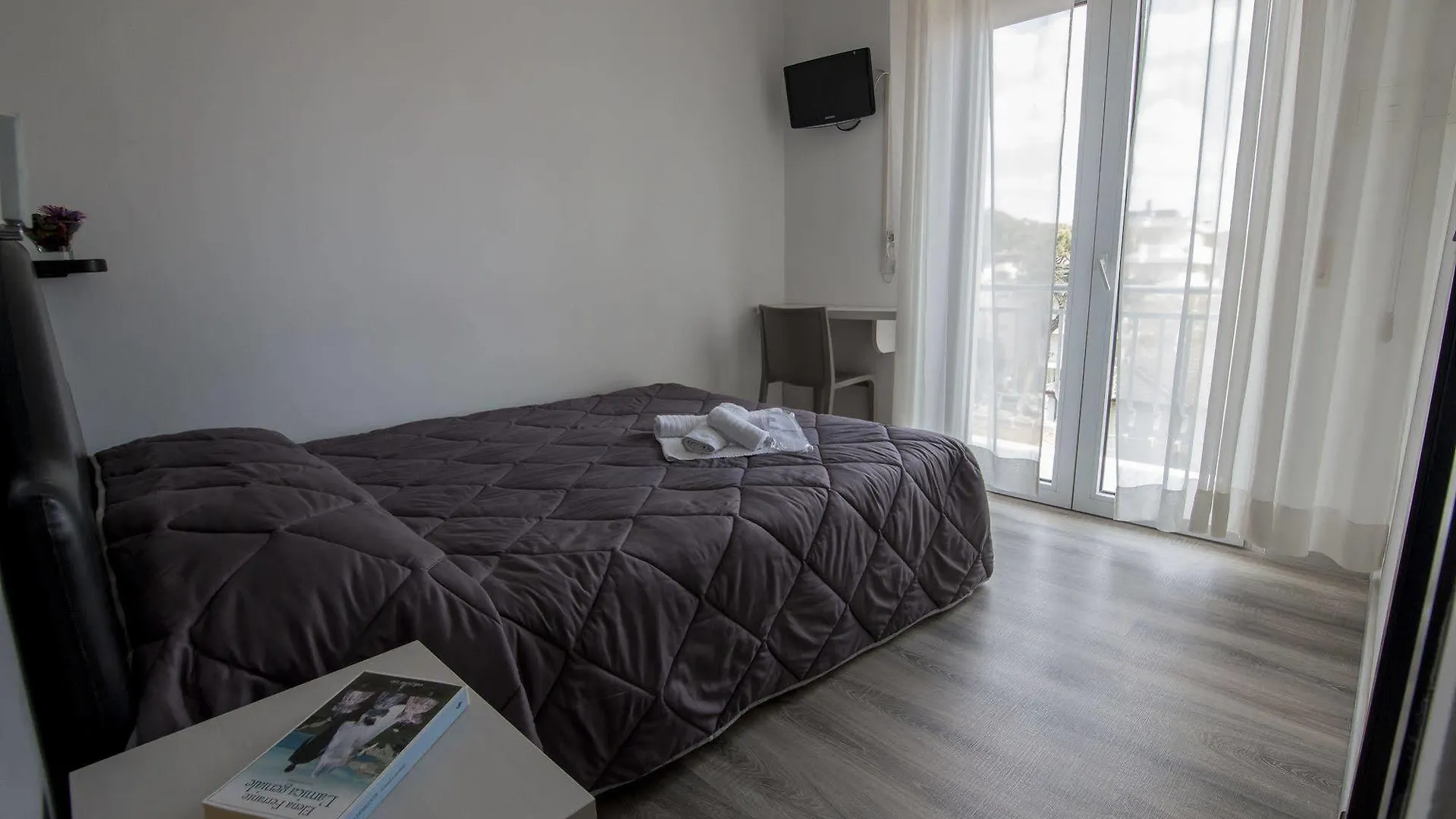 Hotel Zanarini In Centro A Riccione